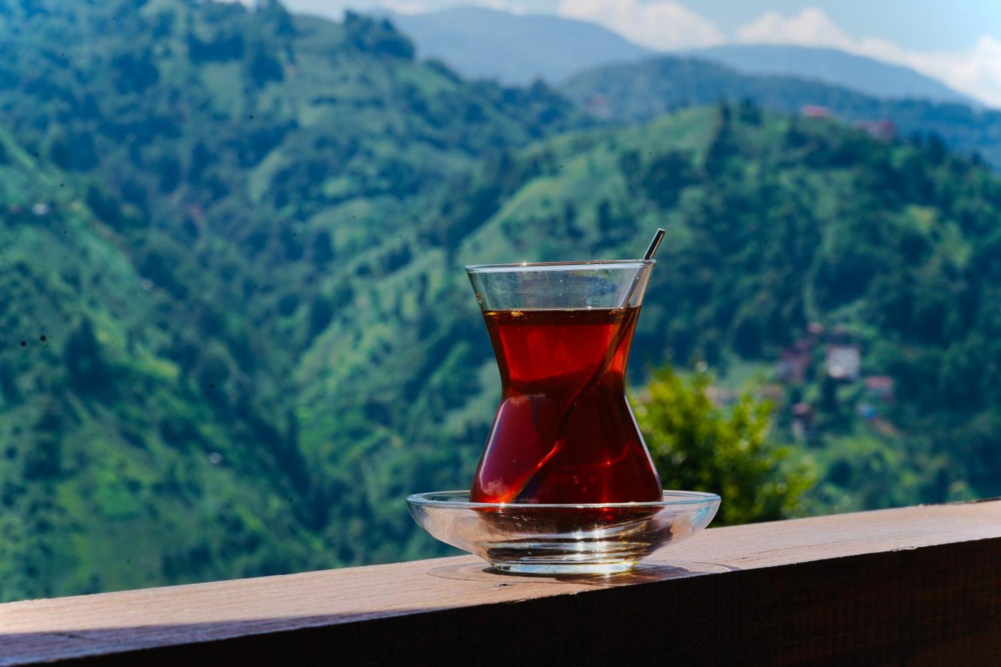 Pathika Bungalov Çamlıhemşin Екстериор снимка